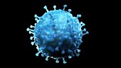 Pneumovirus