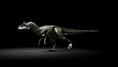 Cryolophosaurus animation