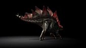Stegosaurus animation