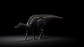 Saurolophus animation