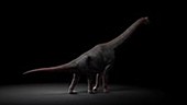 Brachiosaurus animation