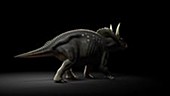 Diceratops animation