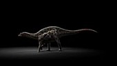 Dicraeosaurus animation