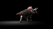 Zuniceratops animation
