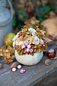 Zierkürbis als Vase mit Chrysanthemen, Schneebeeren und getrockneten Hortensien