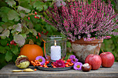 Table in garden decorated with candle lantern, heather, apples, horse chestnuts and pumpkin