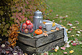 Old wine crate decorated for autumn with apples, pumpkin, milk churn and cup of tea