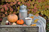 Old wine crate decorated for autumn with pumpkins, milk churn and cup of tea