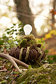 Lantern hand-made from wicker wreath, moss and light bulb