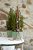 Tiny conifers decorated with felt yarn in mint-green metal buckets