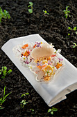 Natural cuisine: magnolia sorbet and yuzu parfait on rice paper