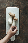 Fresh king trumpet mushrooms on a marble board