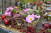 Posies of cosmos and heather in resin pots