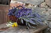 Rustikaler Korb mit Lavendelblüten vor Steinmauer