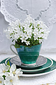 White harebells in green cup