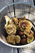 Chestnuts in a wire basket