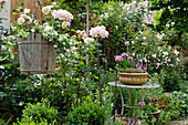 Rose garden, terracotta bowl with standing geranium