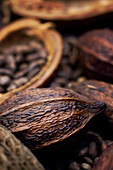 Cocoa Pods and Cocoa Beans