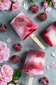 Raspberry and yoghurt ice lollies