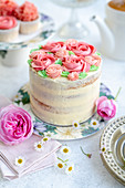 Ombre layered cake