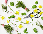 Künstlerische Gestaltung mit Narzissen-Blüten, Basilikum-Blättern und Oregano-Sträußchen