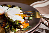 Poached egg on grilled asparagus and toasted bread