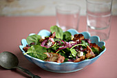 Spinach salad with bacon, cranberries goat cheese