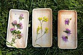 Freshly picked wildflowers sorted into three wooden bowls