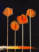 Curry lollies (molecular gastronomy)