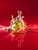 Chocolate spaghetti on sweet pesto with lime ice cream (molecular gastronomy)