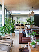 Many houseplants in open-plan interior in Urban Jungle style