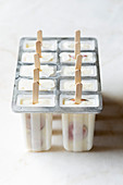 Homemade yoghurt ice cream with fruit in lolly molds