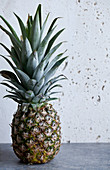 A whole pineapple sitting on a blue countertop with a white background