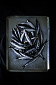 Heap of fresh raw anchovies placed on shabby metal tray against black background