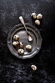 Quail eggs on a pewter plate and dark background
