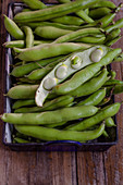 Fava beans in an old tray