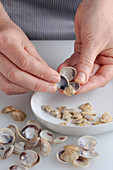 Clams being shelled