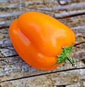 An orange pepper on a wooden background
