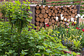 Blumenbeet und gestapelte Holzstämme im Garten