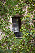 Gitterfenster an einem mit Wildem Wein bewachsenen Haus