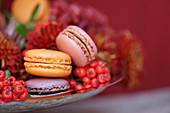 Macaroons (with passion fruit, cassis and blackberries) with hawthorn berries and chrysanthemums in the background