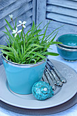 Potted plant, silver cutlery and shell ornament on plate