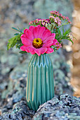 Zinnia and yarrow in turquoise vase