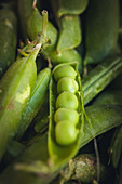 Fresh peas (close up)