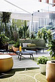 Potted plants in outdoor lounge area below awning
