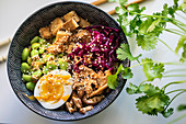 Lunch Bowl mit Tofu, Edamame, Rotkohl, Ei und Sesam