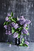 Vase of purple lilac