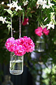 Pinkfarbene Blüten im Glas am Baum hängend