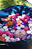 Summer flowers and tealights floating in metal tub