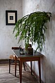 Larch branches decorated for Christmas above vintage table